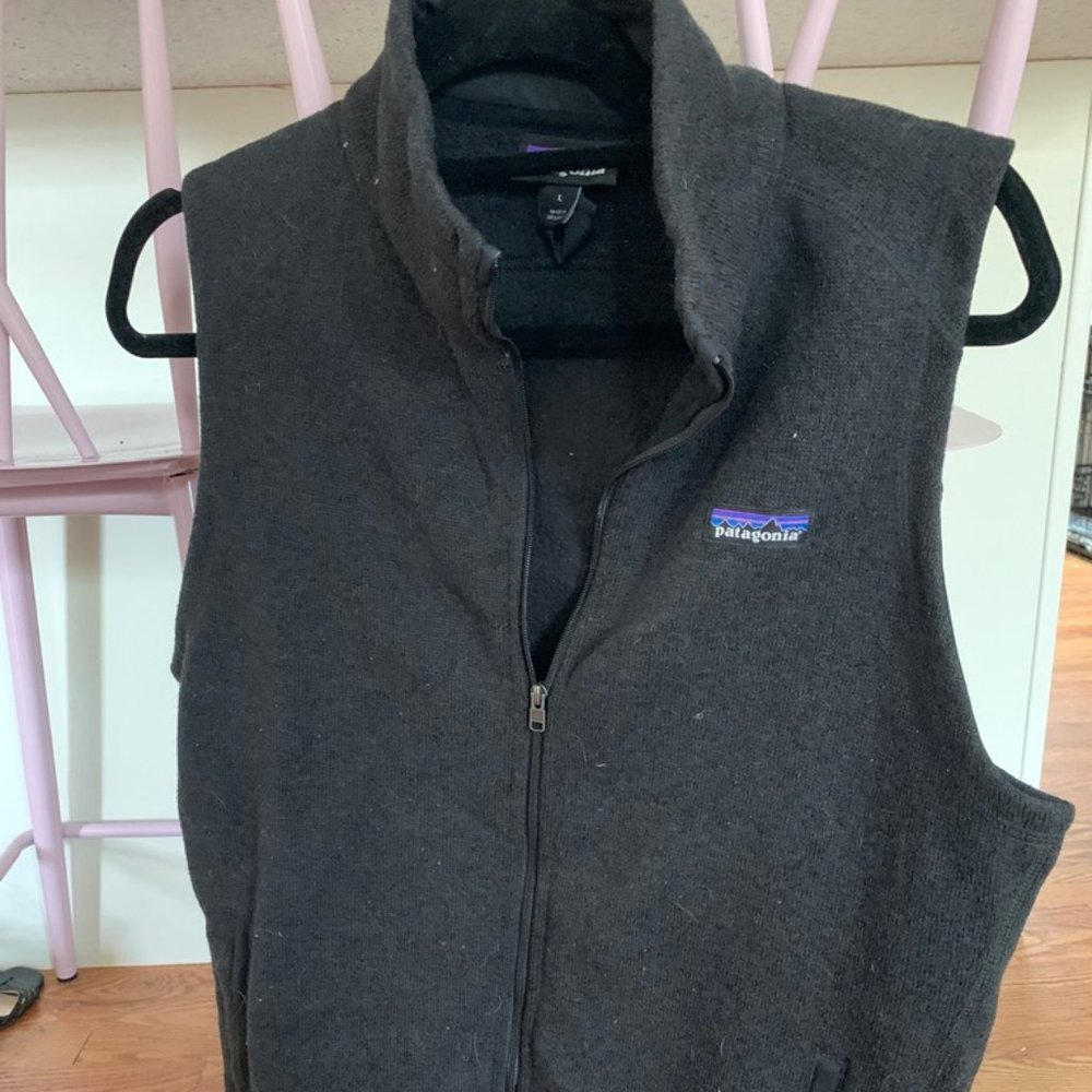 patagonia vest - womens